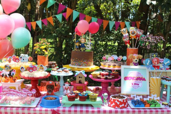 Picnic Patrulha Canina