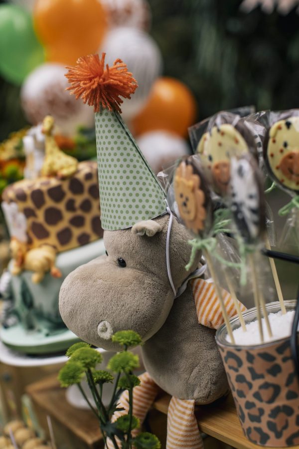 Festa Picnic Safari