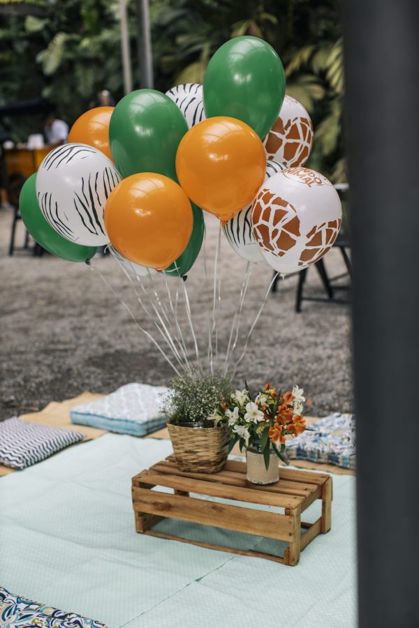 Festa Picnic Safari
