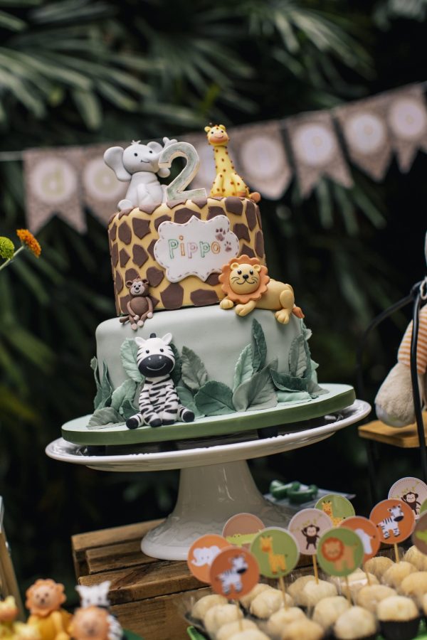 Festa Picnic Safari