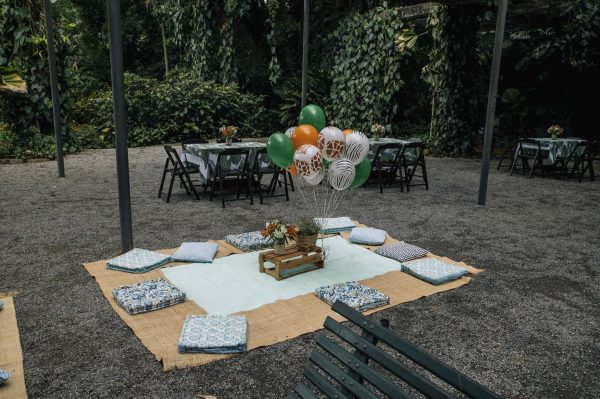 Festa Picnic Safari
