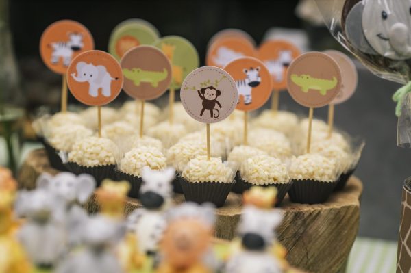 Festa Picnic Safari