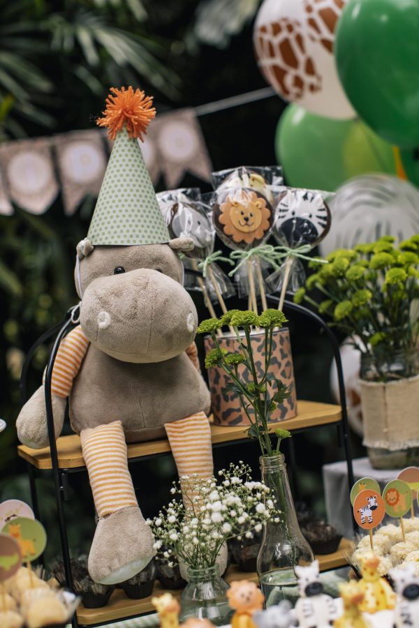 Festa Picnic Safari