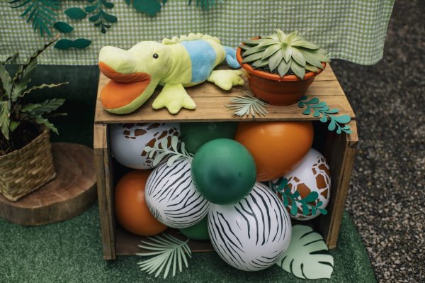Festa Picnic Safari