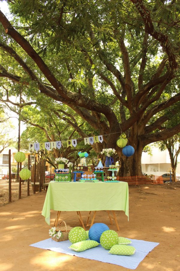Picnic do Theo