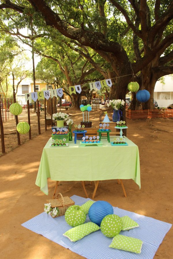 Picnic do Theo