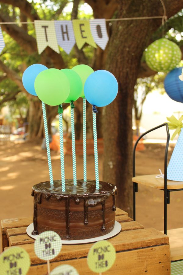 Picnic do Theo