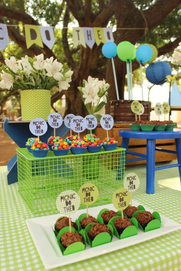Picnic do Theo