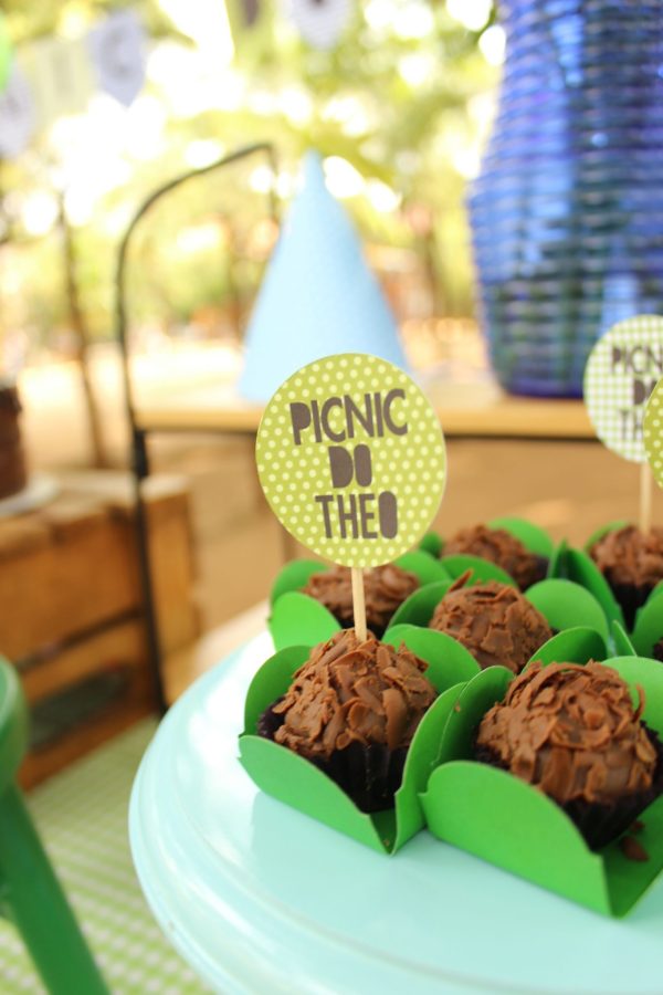Picnic do Theo