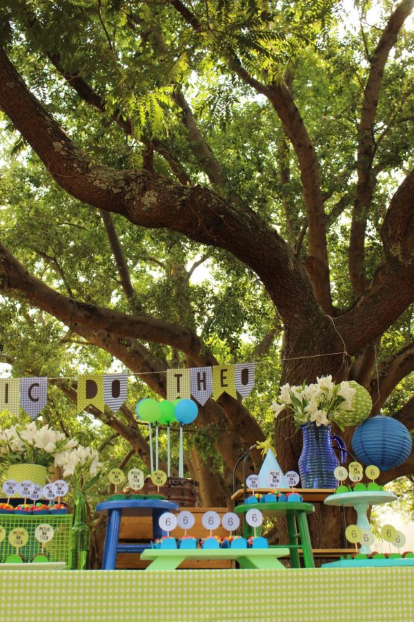 Picnic do Theo