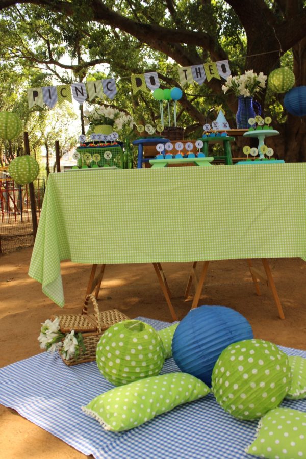 Picnic do Theo