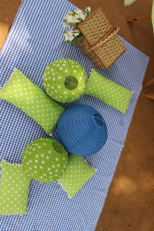 Picnic do Theo