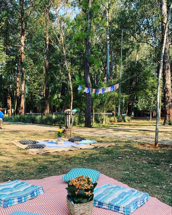 Picnic Hot Wheels