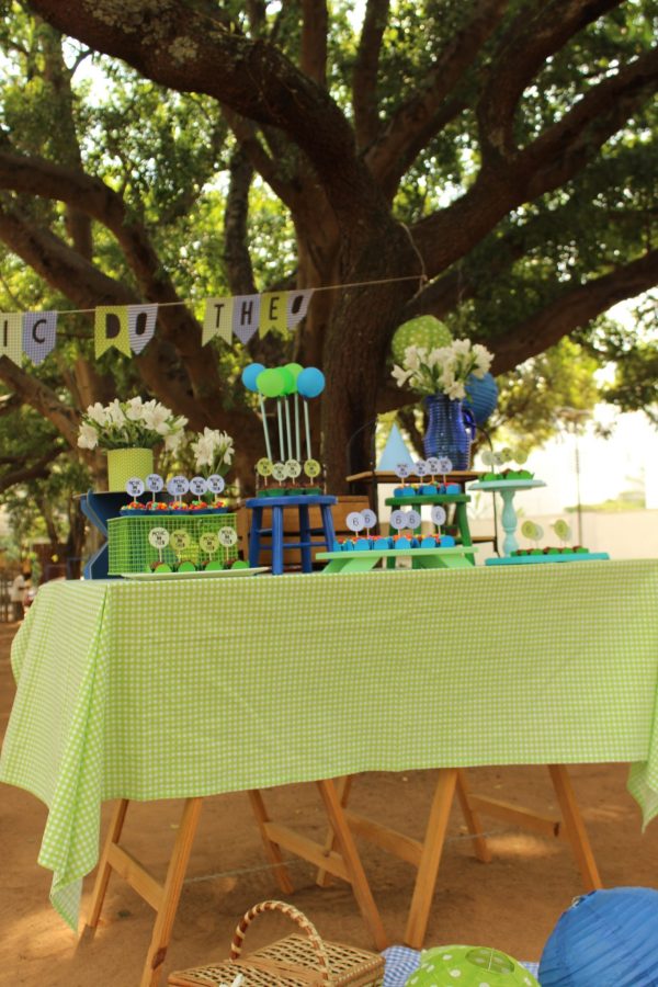 Picnic do Theo