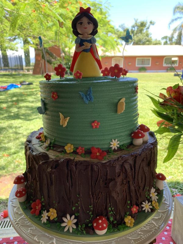 Festa Branca de Neve