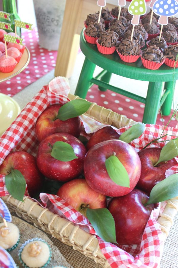 Festa Branca de Neve