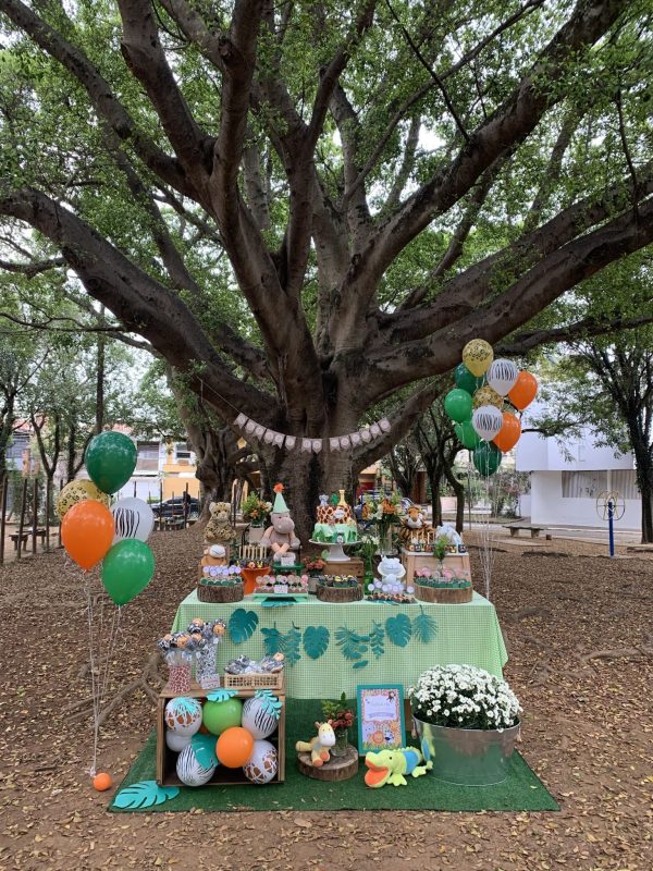 Festa Picnic