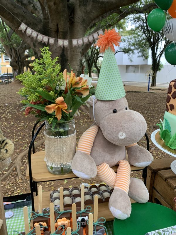 Picnic Safari
