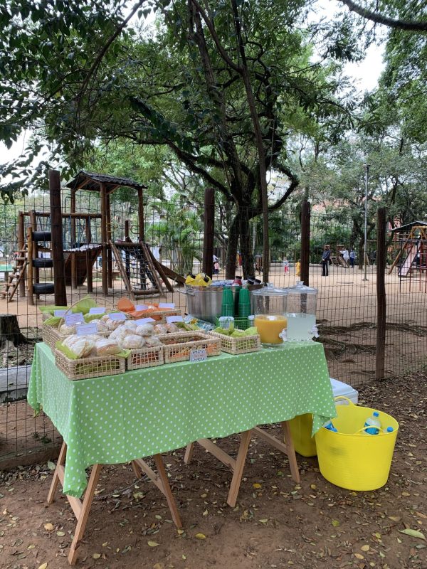 Picnic Safari