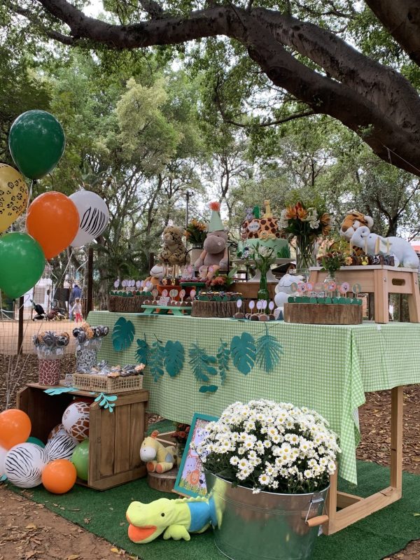 Picnic Safari
