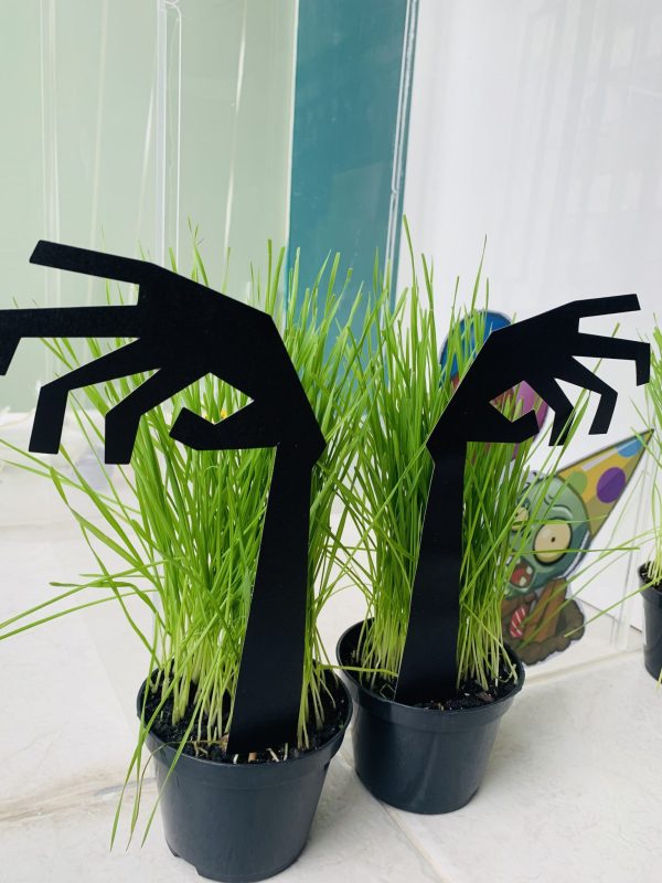 Festa Plantas vs Zumbis