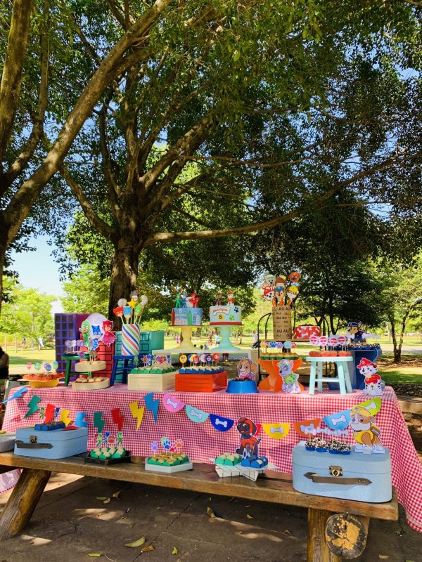 Picnic Patrulha Canina e PJ Masks