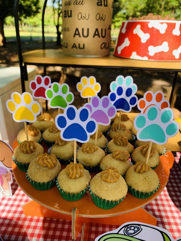 Picnic Patrulha Canina e PJ Masks