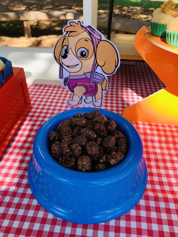 Picnic Patrulha Canina e PJ Masks