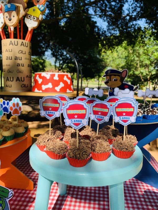 Picnic Patrulha Canina e PJ Masks