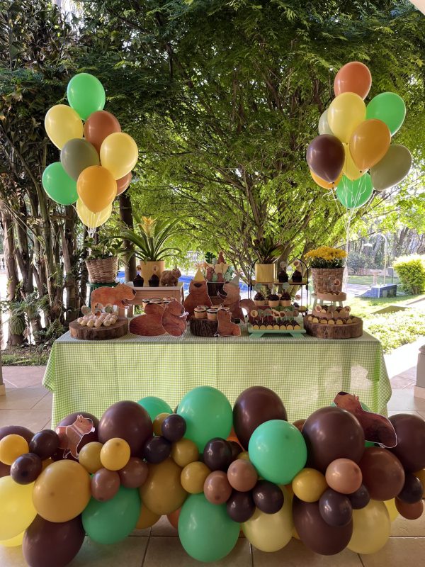 Festa Capivara