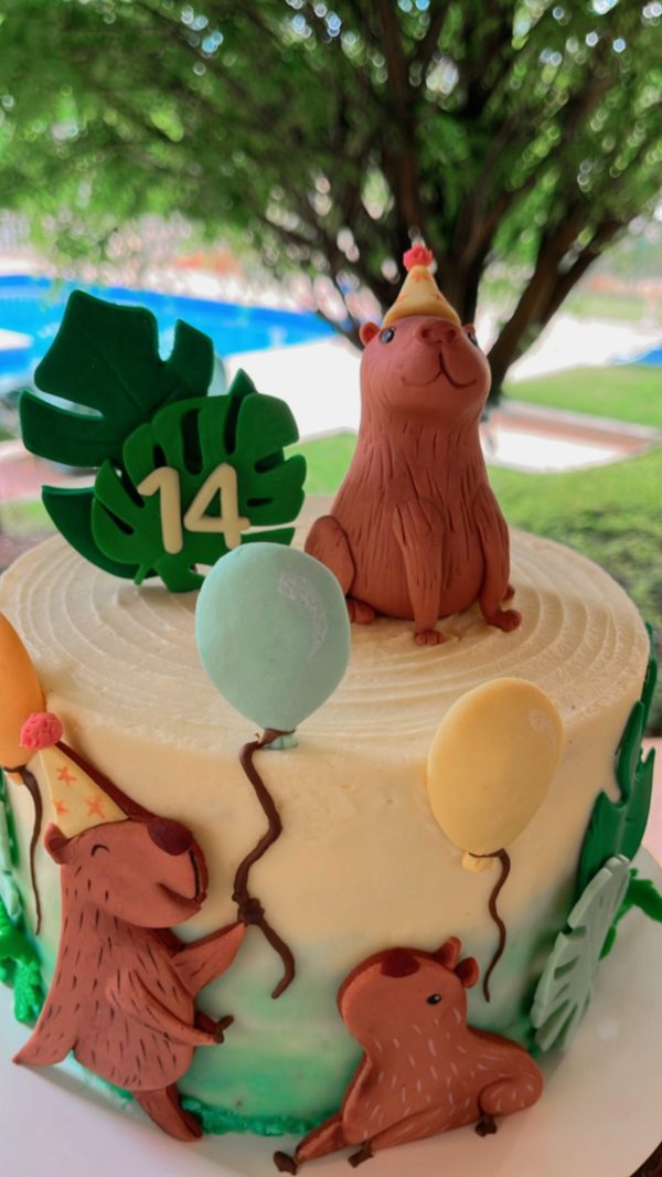 Festa Capivara