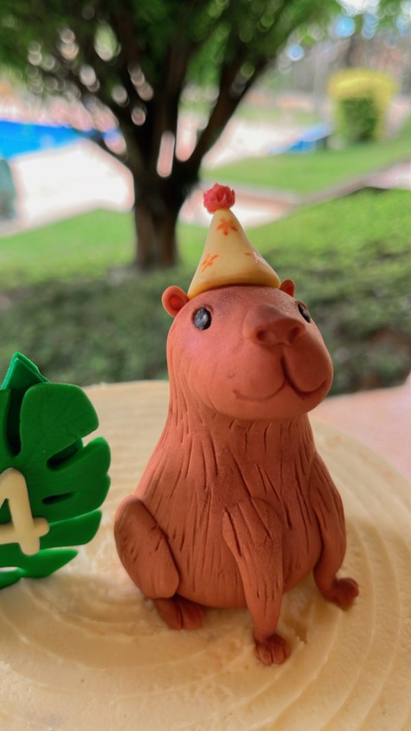 Aniversariante de 9 anos ganha festa com tema de capivara em