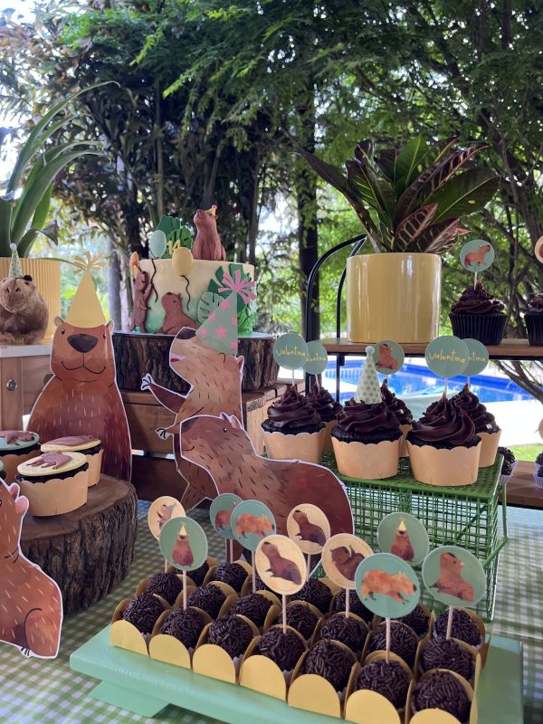 Festa Capivara
