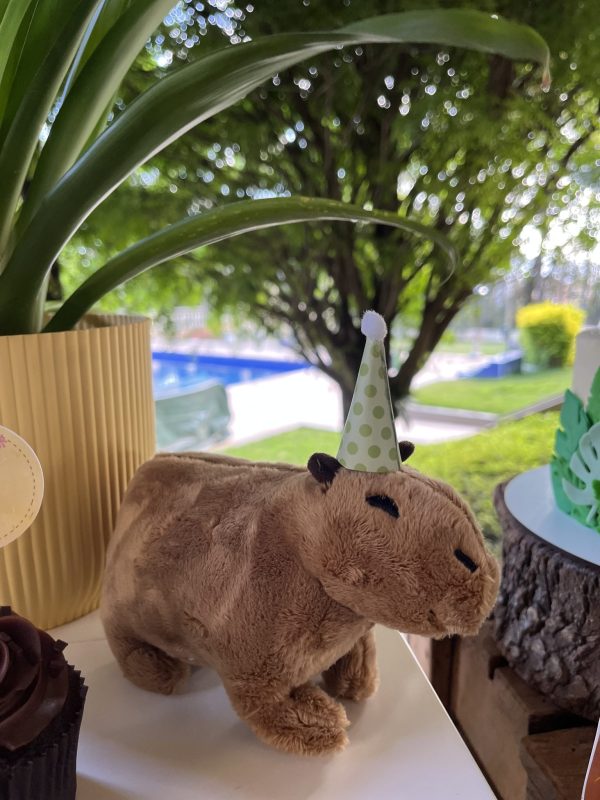 Festa Capivara