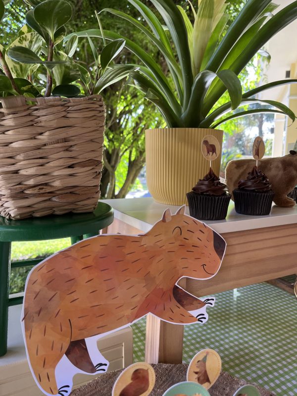 Festa Capivara