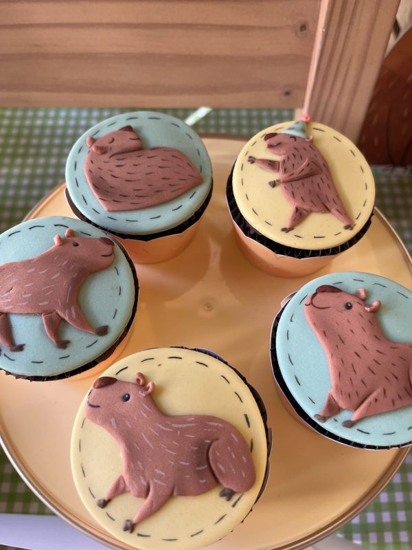 Festa Capivara