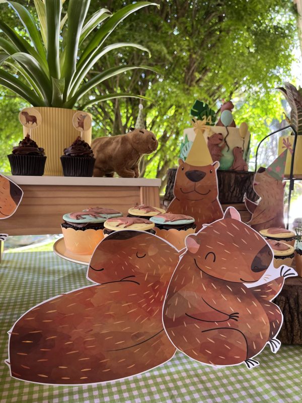 Festa Capivara