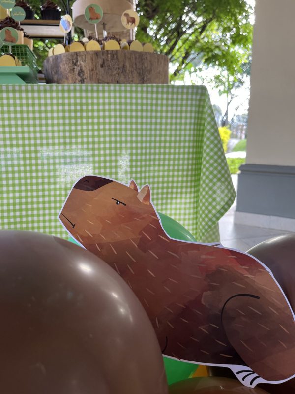 Festa Capivara