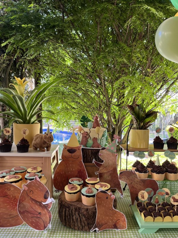 Festa Capivara
