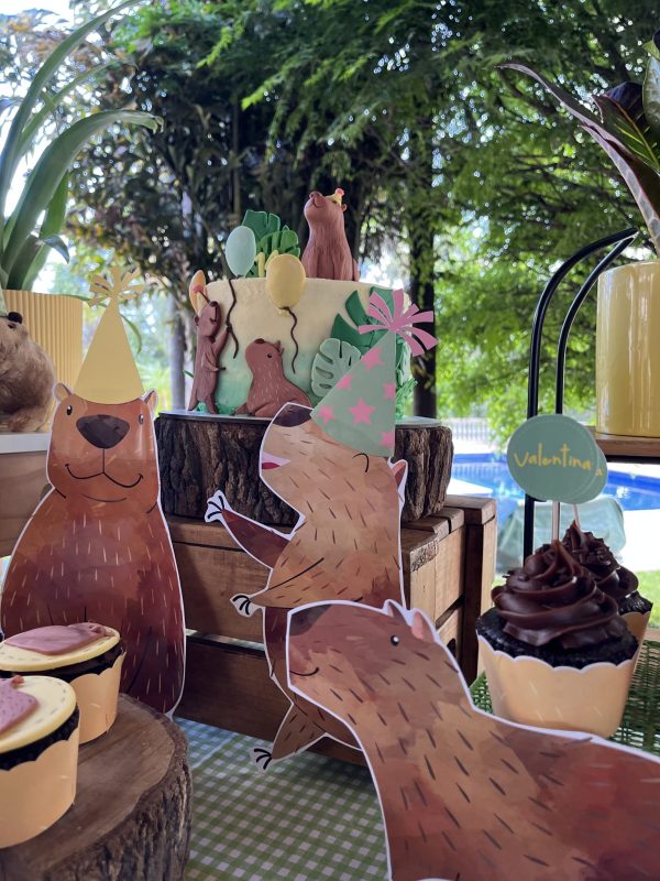 Festa Capivara