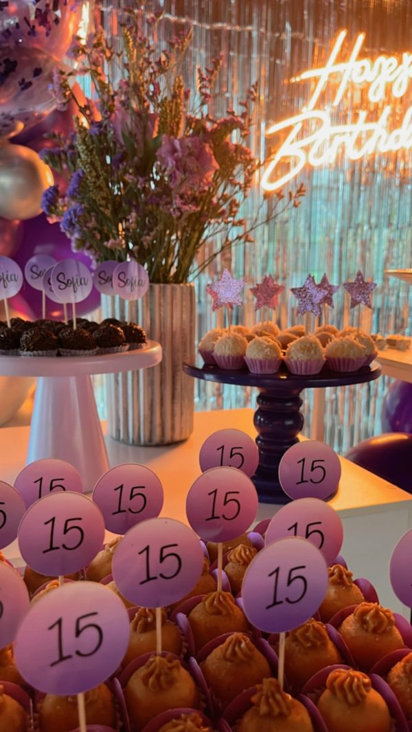 Festa 15 anos