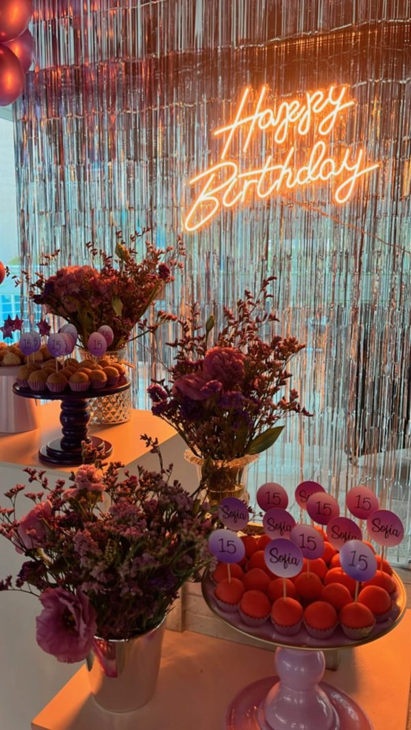 Festa 15 anos