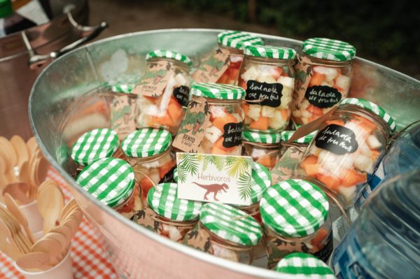 Picnic Dino