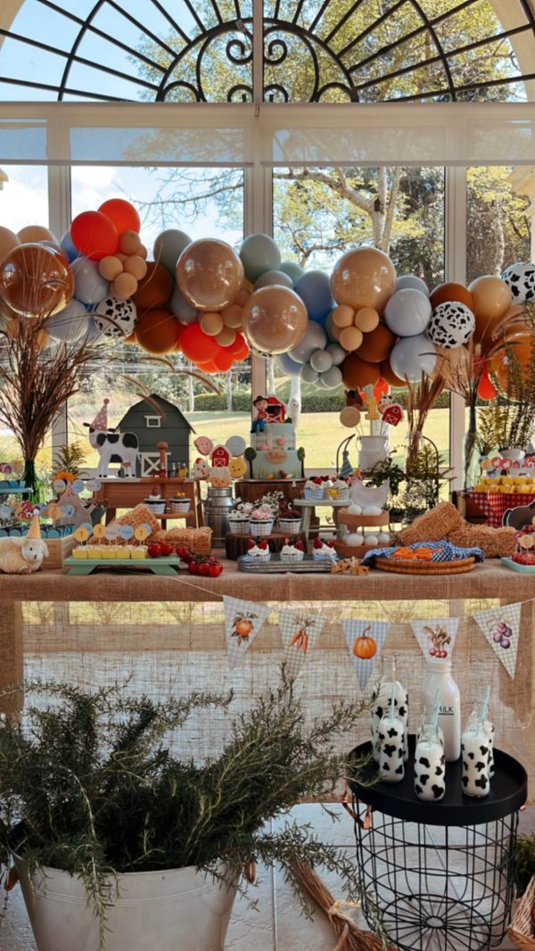 Festa Fazendinha