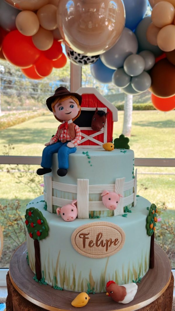 Festa Fazendinha