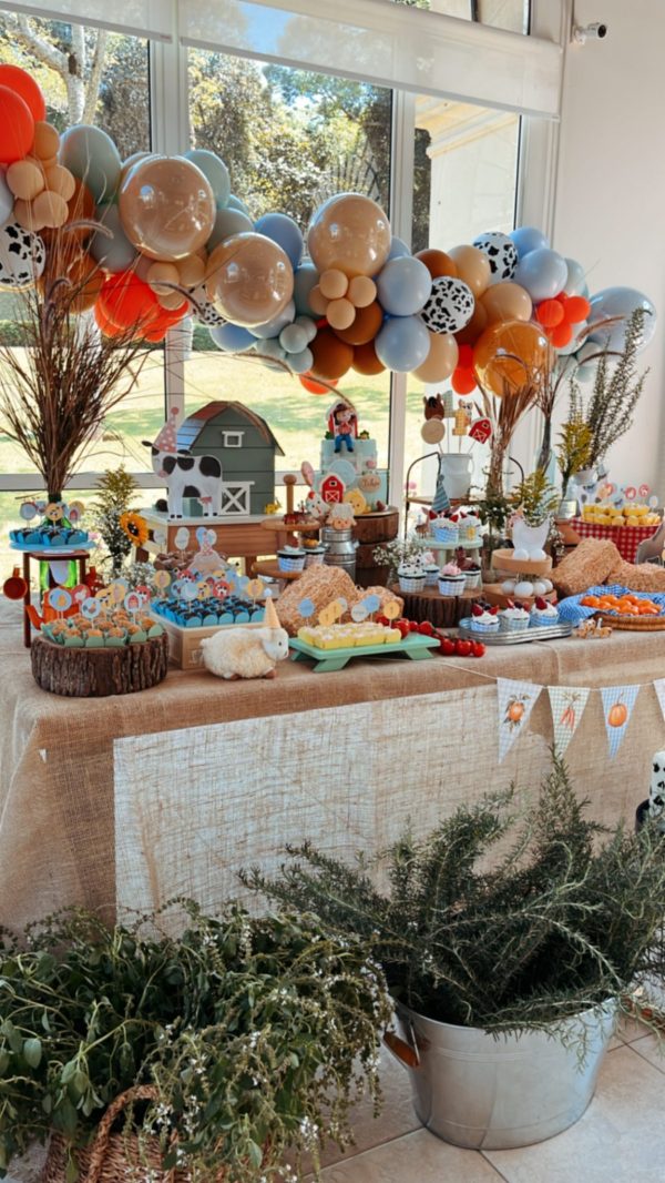 Festa Fazendinha