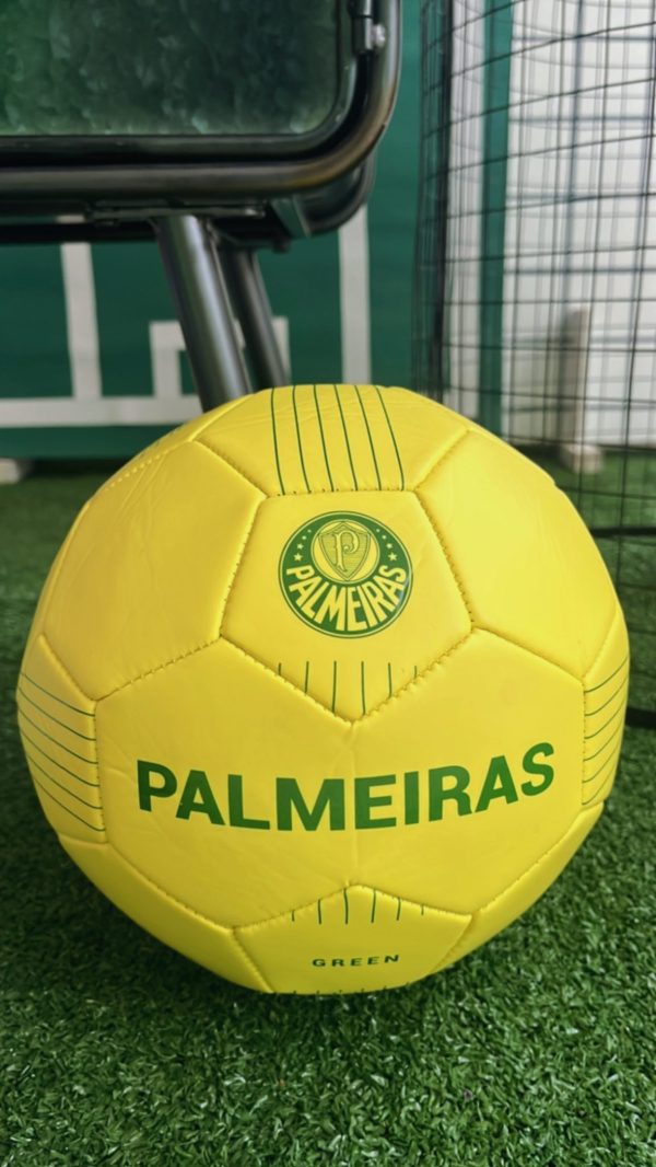 Festa Palmeiras