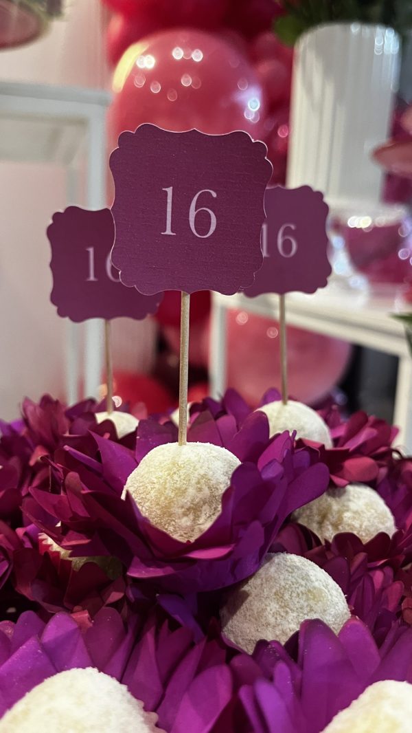 Festa Leo Mandou Flores