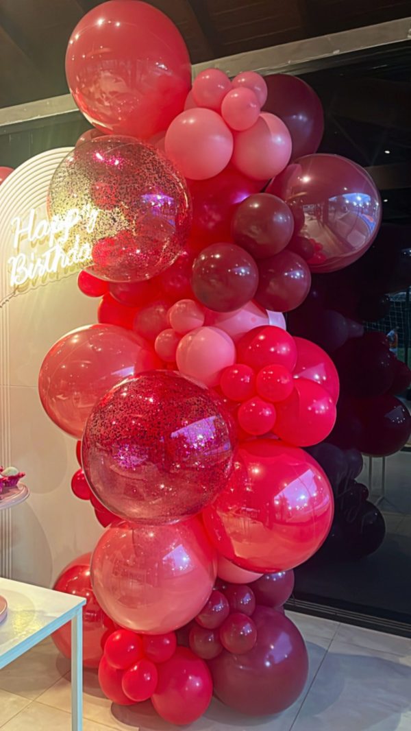 Festa Leo Mandou Flores