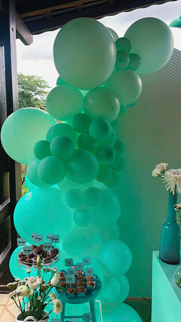 Festa Verde Água